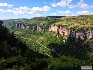Les gorges de la Jonte