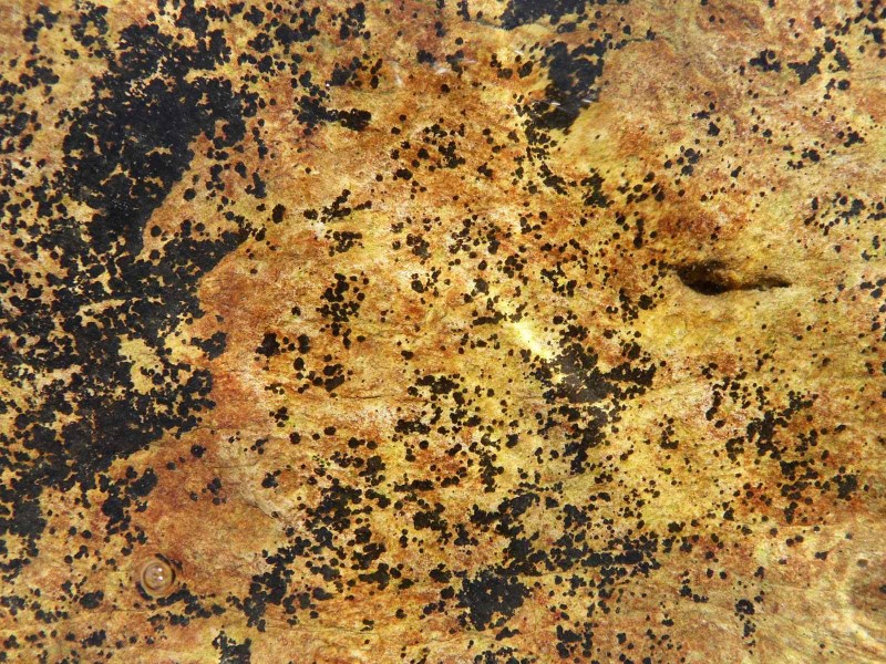 roche colorée