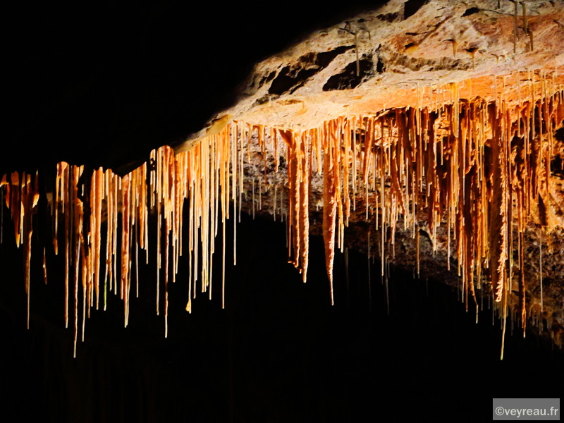 Stalactites à Dargilan