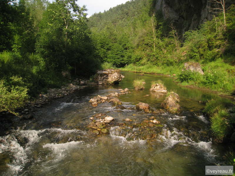 La Dourbie