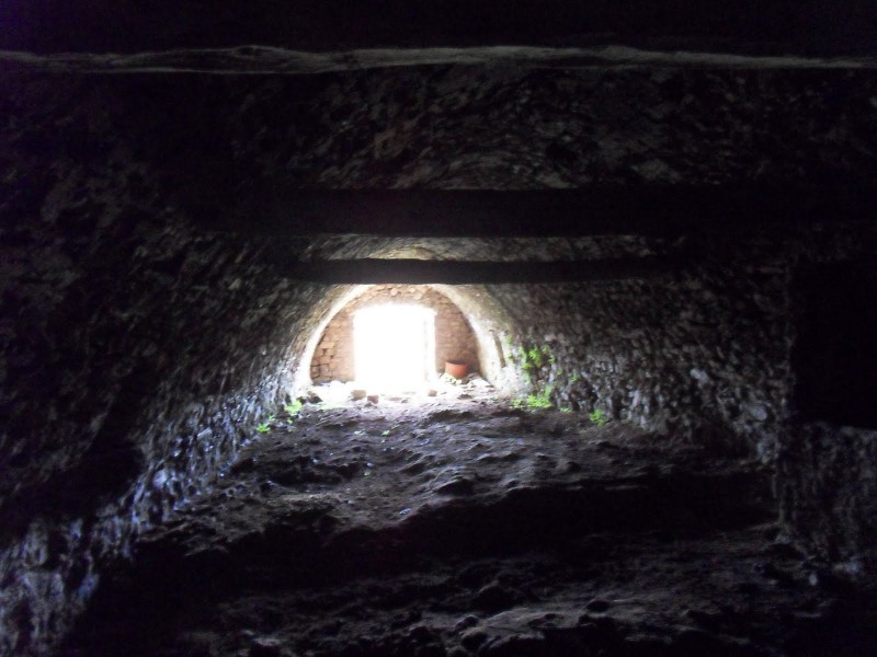 Fraîcheur de la bergerie
